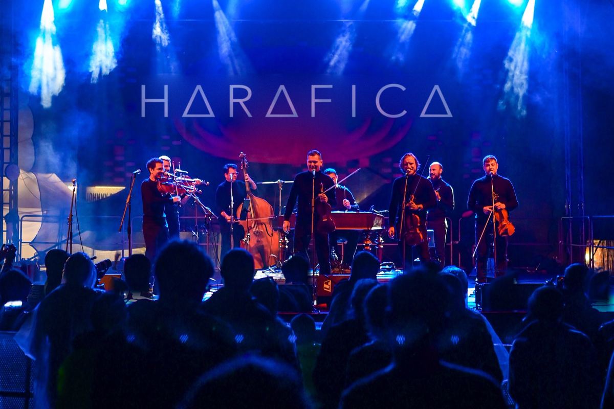 Harafica na koncertě