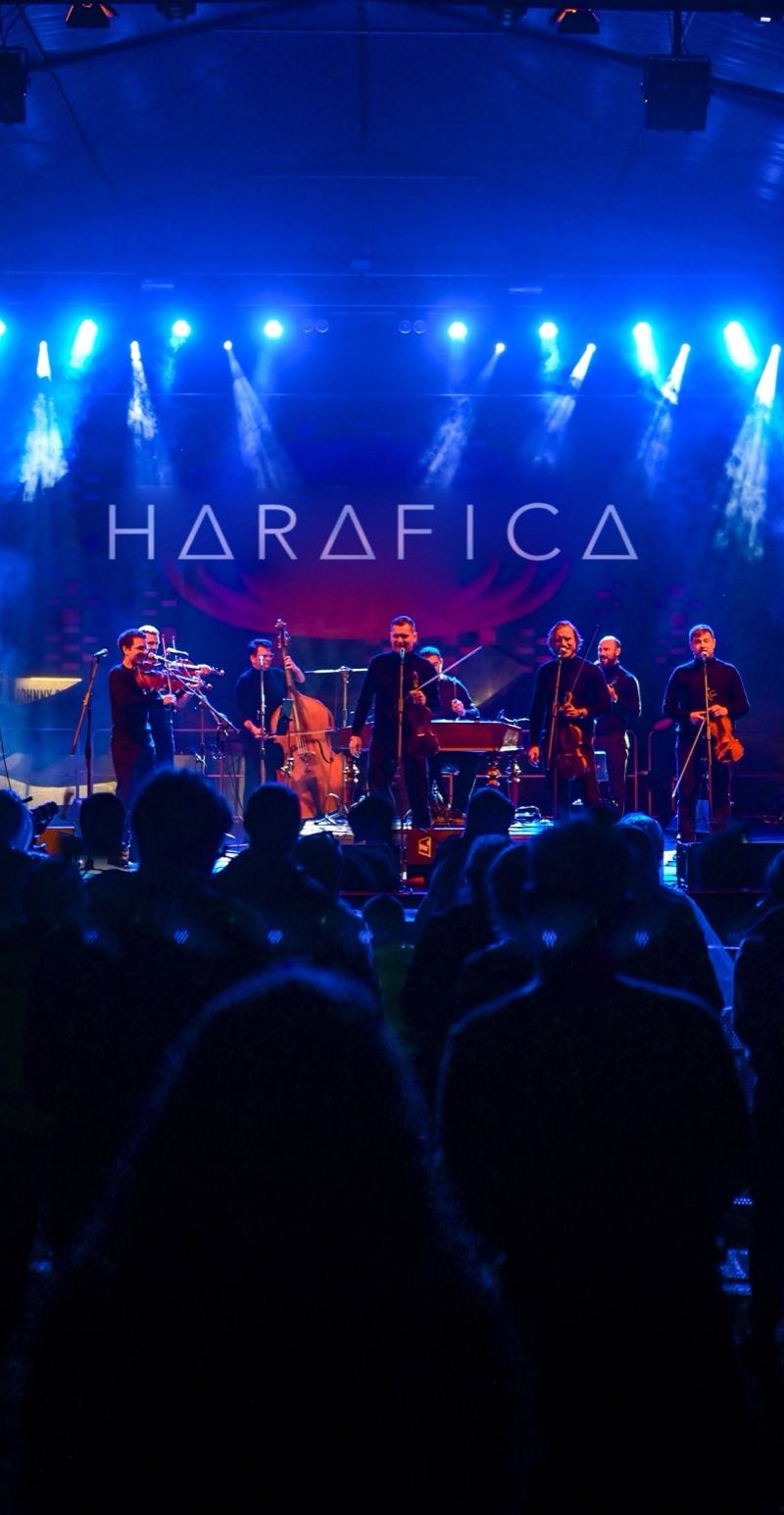 Harafica na koncertě